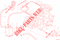 EVAPORATIVE EMISSION SYSTEM (EVAP) para Ducati Multistrada 1200 ABS 2013