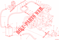 EVAPORATIVE EMISSION SYSTEM (EVAP) para Ducati Multistrada 1200 S Pikes Peak 2013