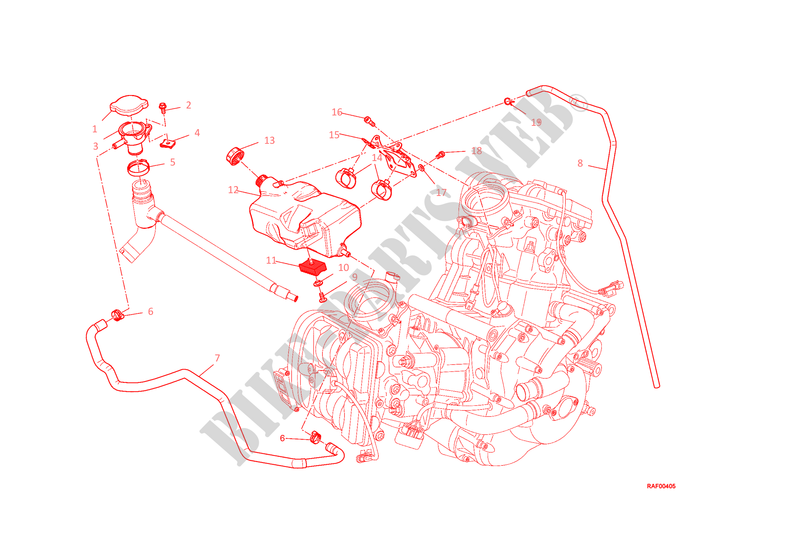 DEPOSITO AGUA para Ducati Diavel 1200 Carbon 2015