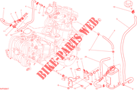EVAPORATIVE EMISSION SYSTEM (EVAP) para Ducati Hypermotard 2015