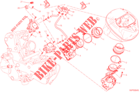 MARIPOSA para Ducati Hypermotard 2015