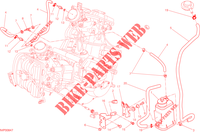 EVAPORATIVE EMISSION SYSTEM (EVAP) para Ducati Hypermotard SP 2015