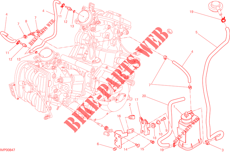 EVAPORATIVE EMISSION SYSTEM (EVAP) para Ducati Hyperstrada 2014