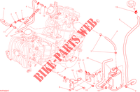 EVAPORATIVE EMISSION SYSTEM (EVAP) para Ducati Hypermotard SP 2014