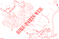EVAPORATIVE EMISSION SYSTEM (EVAP) para Ducati Hypermotard SP 2013