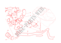 COLECTOR ADMISION para Ducati Hypermotard 1100 S 2009