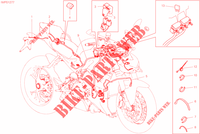 INSTALACION ELECTRICA para Ducati Streetfighter V4 S 2020