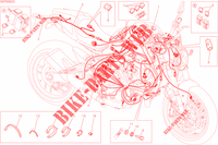INSTALACION ELECTRICA para Ducati Monster 821 DARK 2015