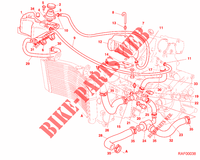 CIRCUITO REFRIGERADOR para Ducati 996 SPS III 2000