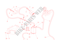 EVAPORATIVE EMISSION SYSTEM (EVAP) para Ducati Monster 795 2012