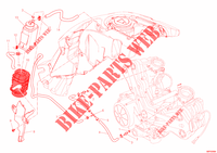 EVAPORATIVE EMISSION SYSTEM (EVAP) para Ducati Diavel 1200 White Stripe 2013