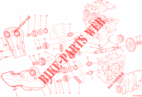 DISTRIBUCIÓN para Ducati Monster 821 2015