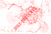 INSTALACION ELECTRICA para Ducati Monster 821 2015