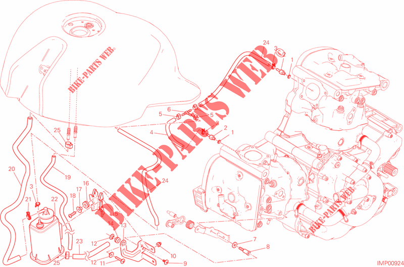 EVAPORATIVE EMISSION SYSTEM (EVAP) para Ducati Monster 821 2015