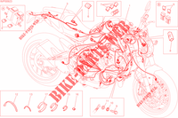 INSTALACION ELECTRICA para Ducati Monster 821 Stripes 2015