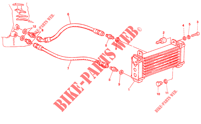 RADIADOR DE ACEITE (FM 024036) para Ducati 900 SS 1997