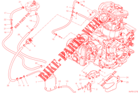 EVAPORATIVE EMISSION SYSTEM (EVAP) para Ducati Multistrada V2 2022